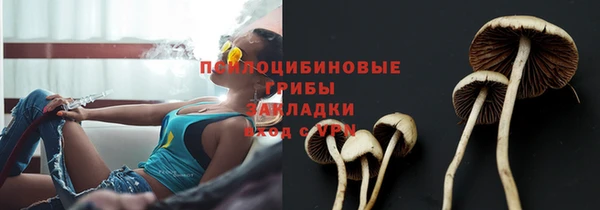 амф Карталы
