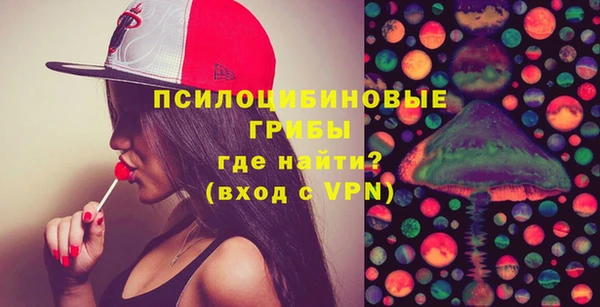 сатива Чекалин