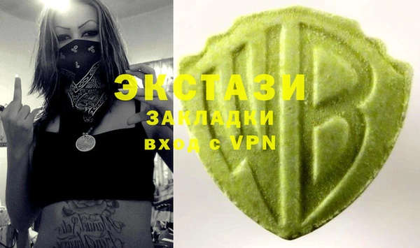 индика Каменка