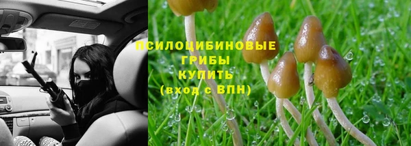 каннабис Карпинск