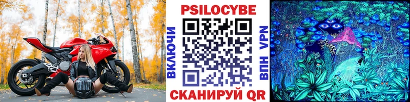 Псилоцибиновые грибы мухоморы  Купить закладки  Красновишерск 